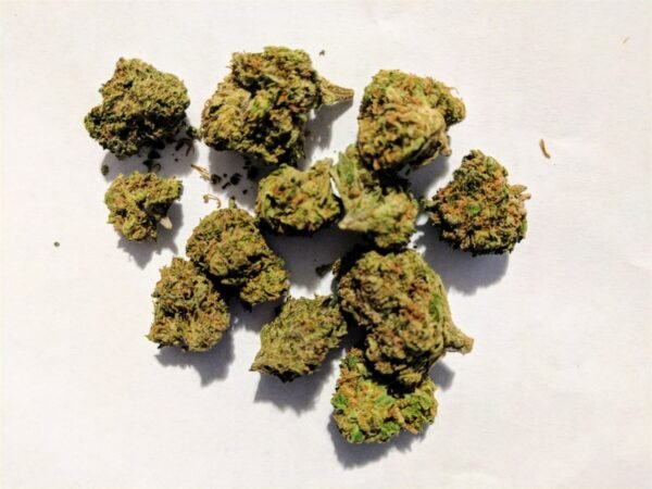 Hindu Kush