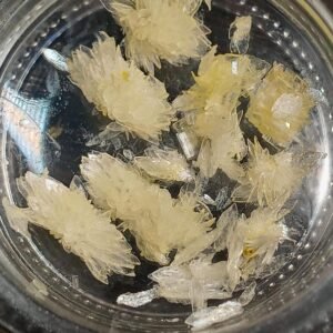 N-Dimethyltryptamine DMT crystals