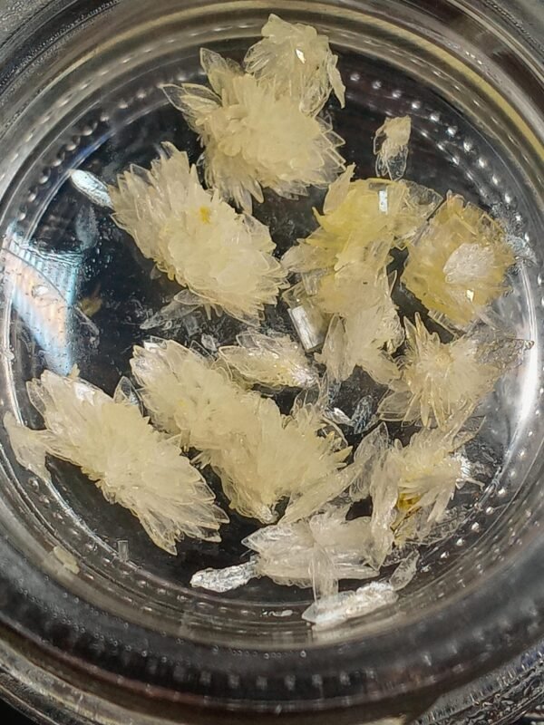 N-Dimethyltryptamine DMT crystals