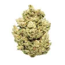 Gorilla Glue (GG4)